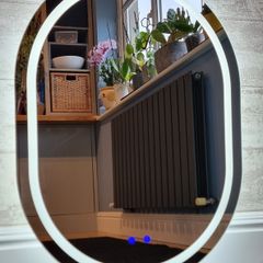 LED Bathroom Mirror Oval Egg Shape