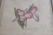 lovely framed water coulure still life of flower signed.