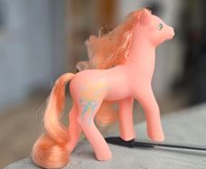 Wild Flower Wildflower Sweetheart Sister Ponies MLP G1 My Little Pony 1988