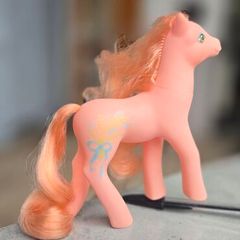 Wild Flower Wildflower Sweetheart Sister Ponies MLP G1 My Little Pony 1988