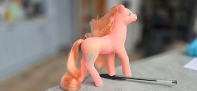 Wild Flower Wildflower Sweetheart Sister Ponies MLP G1 My Little Pony 1988