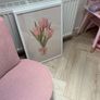 pic Image 2