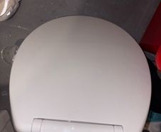 white toilet seat