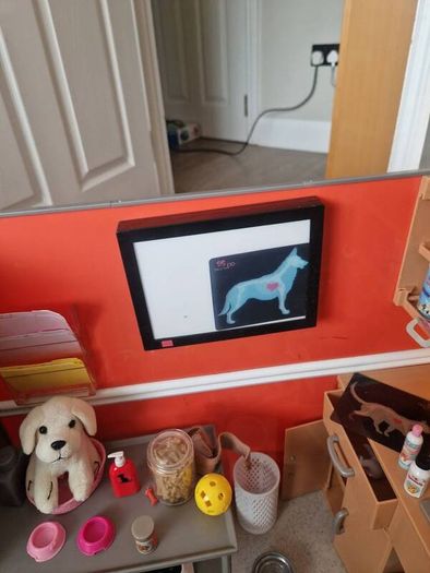 our generation vet clinic