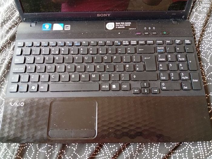 Sony vario laptop