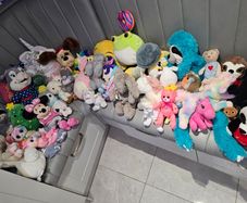 Teddies