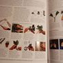 DK/ The Royal Horticultural Society/ Gardening Manual Image 6