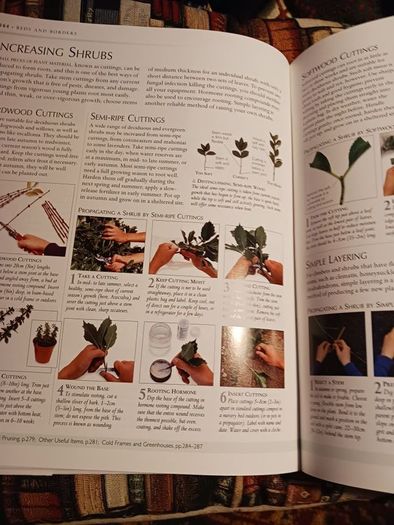 DK/ The Royal Horticultural Society/ Gardening Manual