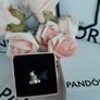 new genuine pandora hugging bears charm Image 5