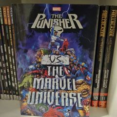 Punisher Vs Marvel Universe