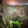 fish tank Image 2