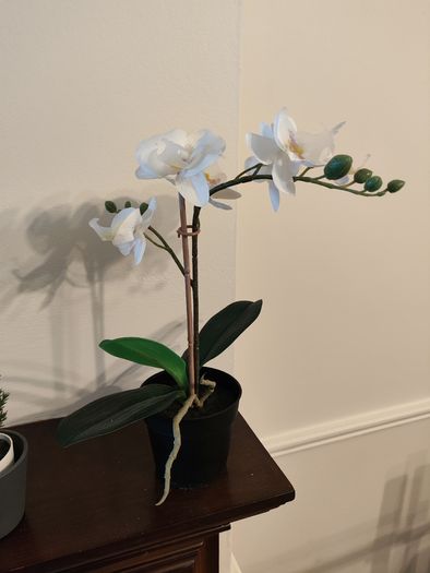 9 fake plants
