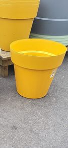 flower pot