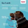 Halti Headcollar Stop Your Dog Pulling on the Lead Image 2