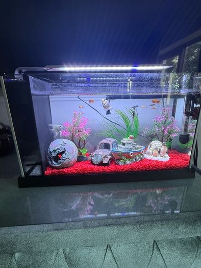 fish tank