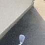 golf Image 3