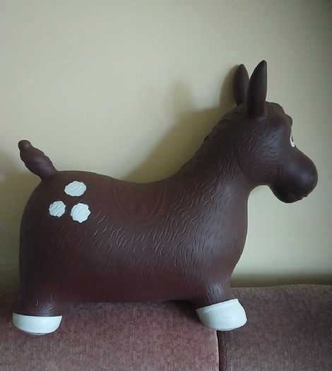 Inflatable Pony for child to ride