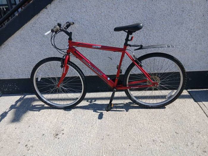 Adults Bike
