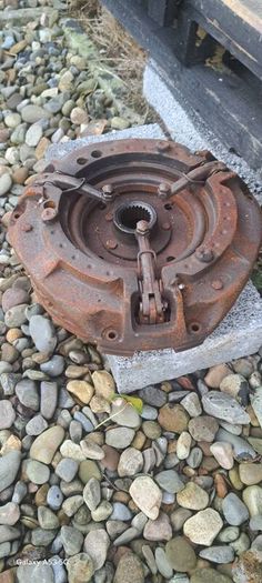 massey 168 188  presher plate