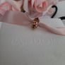 brand new genuine pandora ladybug charm Image 2