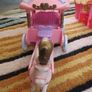 Lalaloopsy bundle house,tree, Disney Image 4