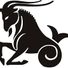 Capricorn10