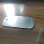 dog tags 200 blank tags Image 2
