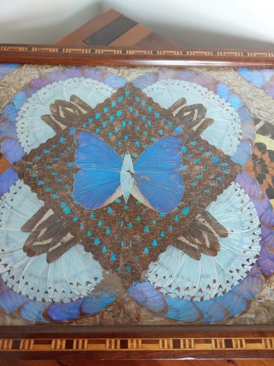 Vintage Brazilian Inlaid Iridescent Morpho Butterfly Wing Hardwood Tray