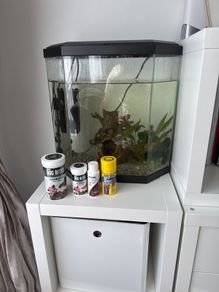 Fish Tank