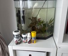 Fish Tank