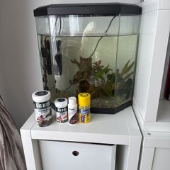 Fish Tank