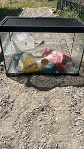 hamster cage