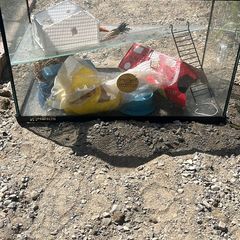 hamster cage