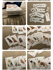 Playing Card's Dog's of the World 1997 NEW