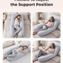 Pregnancy Pillow Image 3