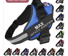 Dog Harness