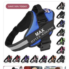Dog Harness