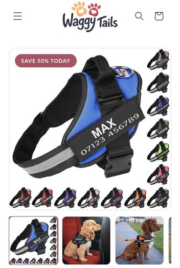 Dog Harness
