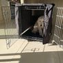 Dog crate cage with blackout covers and tray Image 4