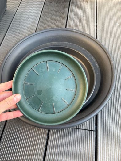 Plant Pots and Saucers Bundle
