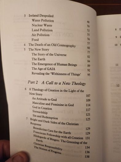 To Care For The Earth. Sean Macdonagh. First Edition. Paperback In Good Condition. 36.