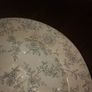 Ridgeway stroke meat platter/turkey Image 2