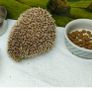 Hedgehog Image 2