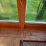 Jack Nicklaus Golden Bear Putter - Only 40 Image 2