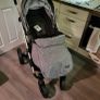 buggy Image 4