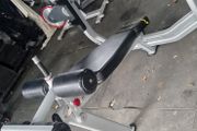Nautilus Decline Bench