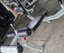 Nautilus Decline Bench