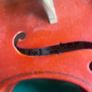 Skylark Violin Image 3