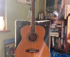Tanglewood Guitar
