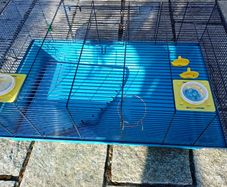 Hamster cage and accessories